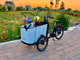 Experience convenience of mid drive ebikes when riding with your children.