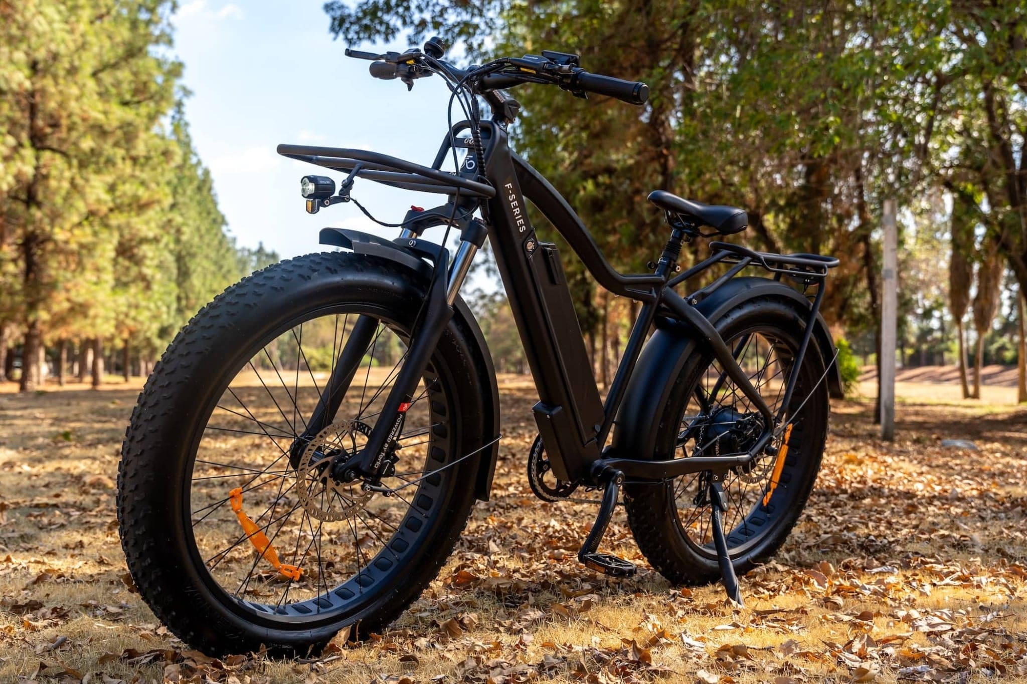 Ferla FX-Series 750 - Ferla Family - Cargo Bikes