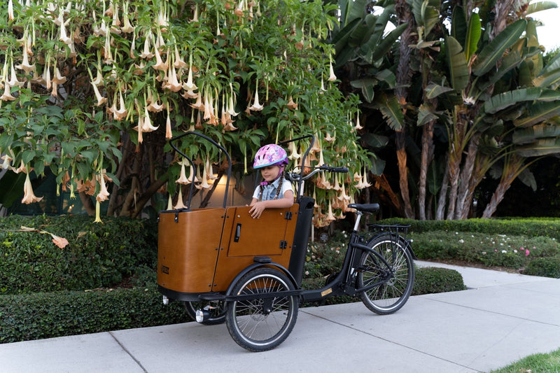 15 Tips Every Parent Should Know to Keep Their Kids Active During Quarantine - Ferla Family - Cargo Bikes