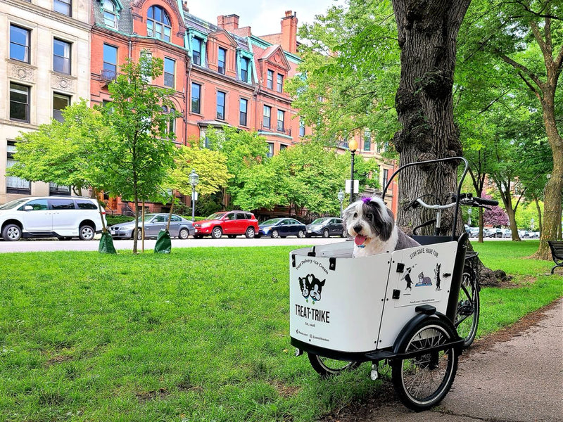 3 Different Types Of Cargo Bikes You Should Know - Ferla Family - Cargo Bikes