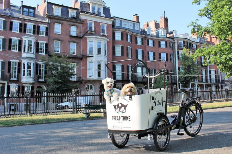 5 Benefits of Switching to a Cargo Bike in 2022 - Ferla Family - Cargo Bikes