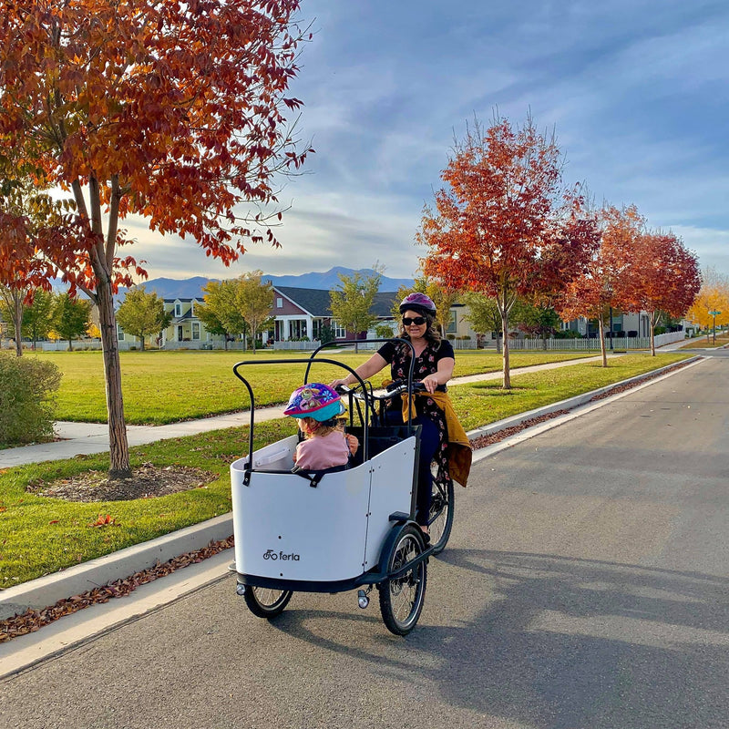 Affordable Cargo Bikes - Ferla Family - Cargo Bikes