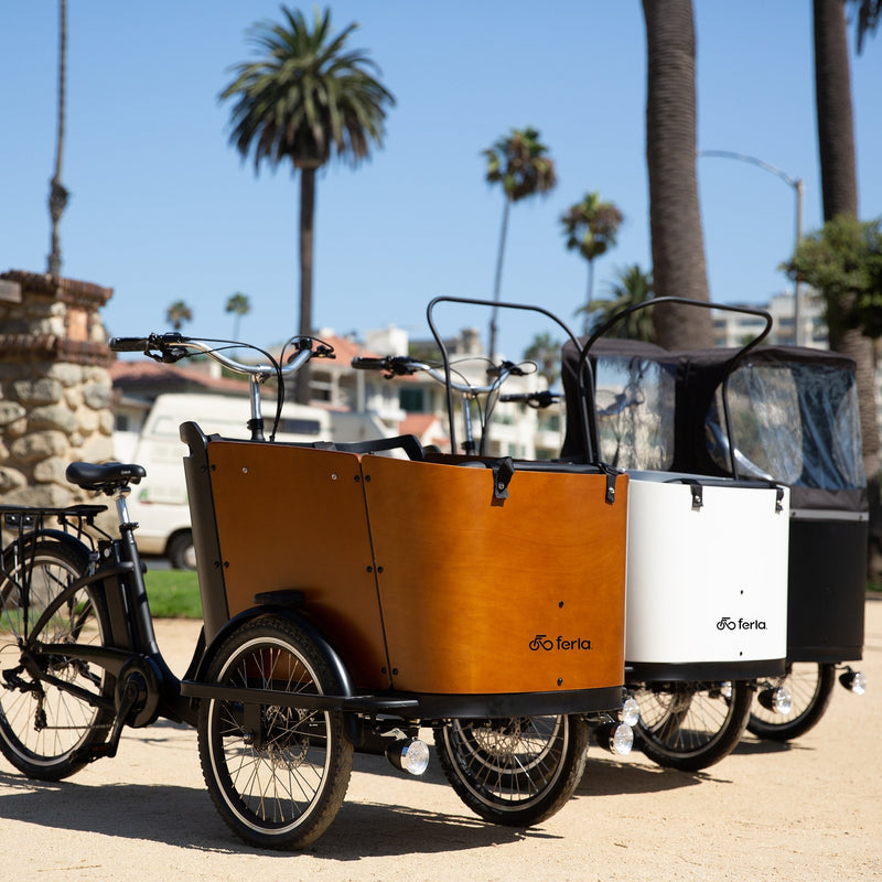Are gasoline prices going up? You need a cargo bike! - Ferla Family - Cargo Bikes