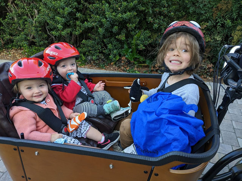 Best Cargo Bikes For Twins And Triplets - Ferla Family - Cargo Bikes