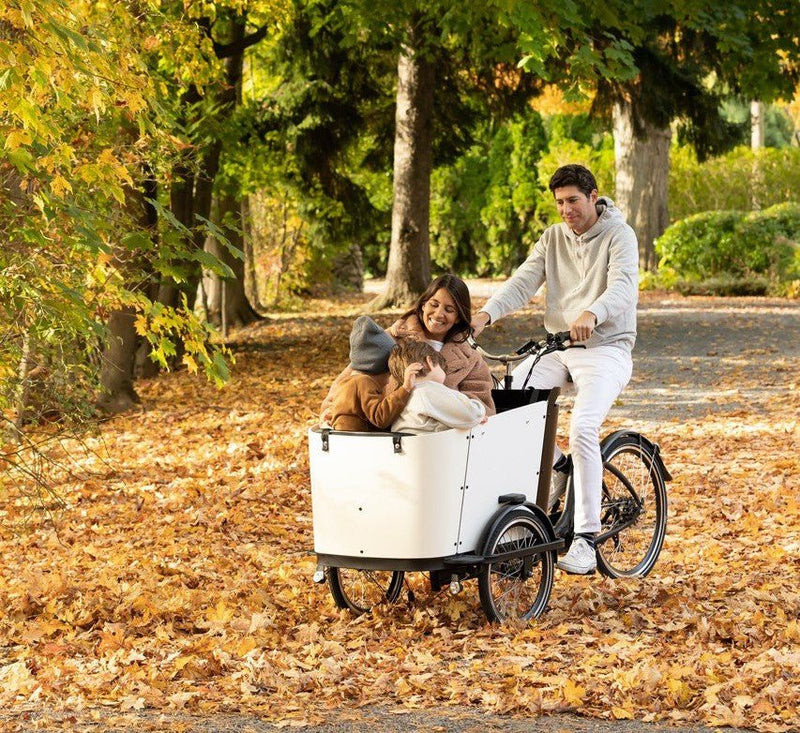 Everything You Need To Know About E-Bike Insurance - Ferla Family - Cargo Bikes