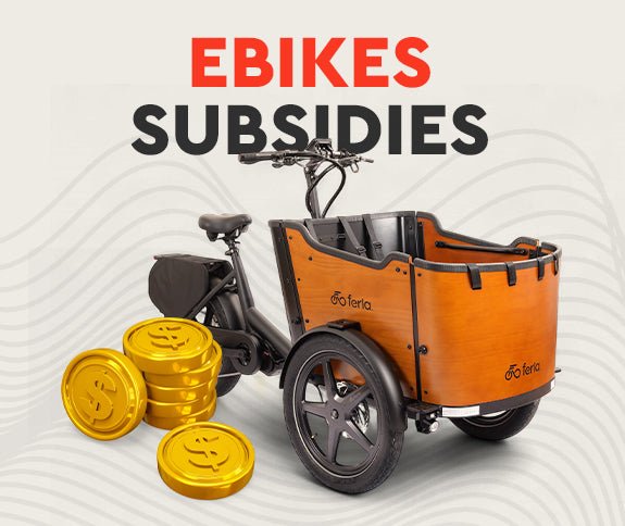 How Electric Bike Subsidies Make E-Bikes Affordable in the USA - Ferla Family - Cargo Bikes