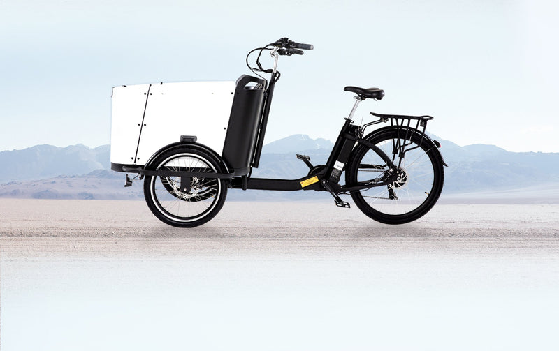 How to Choose the Best Cargo Bike for Your Family  - Ferla Family - Cargo Bikes