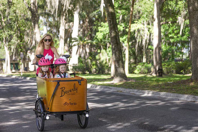 How to Clean Your Cargo Bike in 7 Simple Steps: A Comprehensive Guide