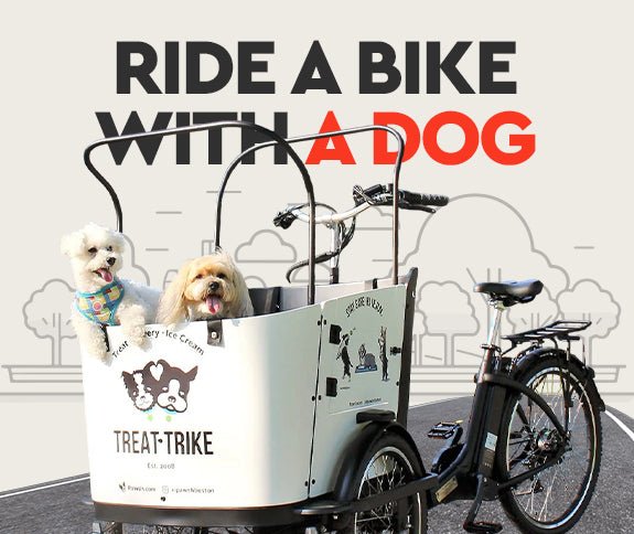 How to Ride a Bike with a Dog: Complete Guide - Ferla Family - Cargo Bikes