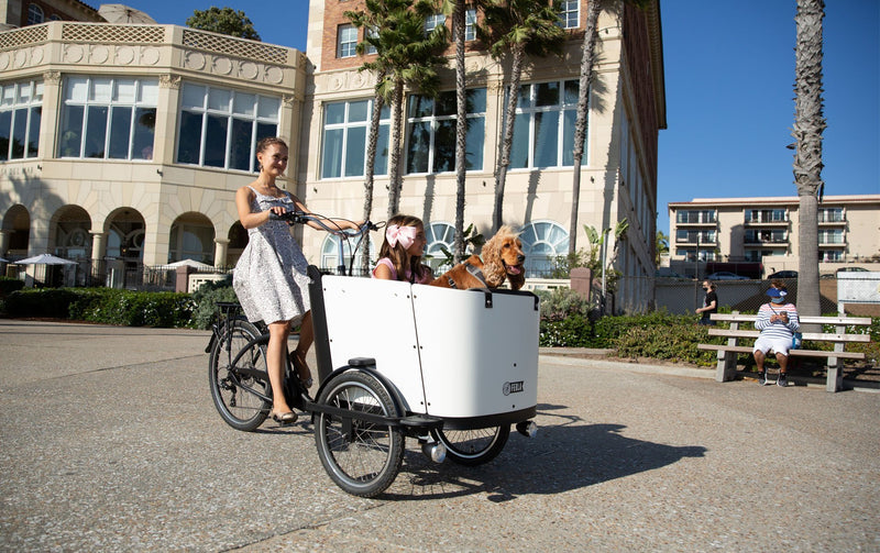 Instead Of A Bike With Trailer, Ride A Ferla Family Cargo Bike - Ferla Family - Cargo Bikes