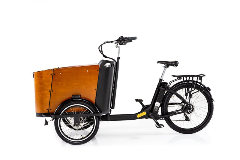 The Nuts & Bolts of Pedal Assist. What it is and How it Works? - Ferla Family - Cargo Bikes