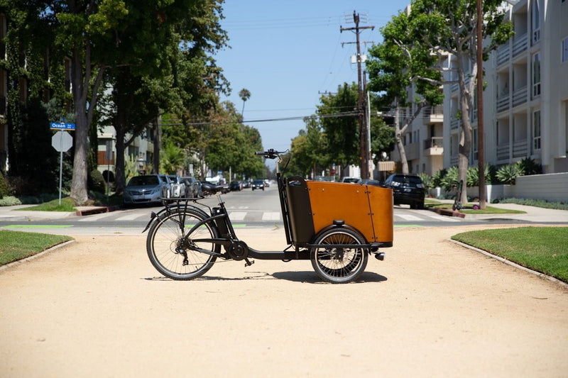 The Unexpected Cycling Benefits That Resulted From 2020 - Ferla Family - Cargo Bikes