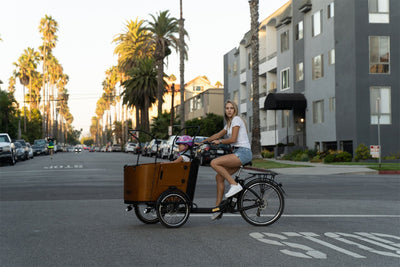 Two-Wheel Cargo Bikes, Or Three-Wheel Cargo Bikes?