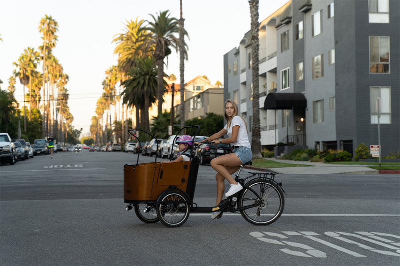 Two-Wheel Cargo Bikes, Or Three-Wheel Cargo Bikes? - Ferla Family - Cargo Bikes