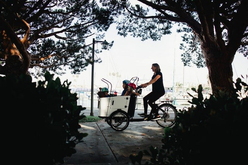 Use Cargo Bikes to Take Your Kids to School in A Greener Way - Ferla Family - Cargo Bikes