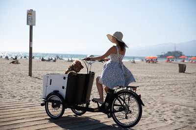 What Is a Cargo Bike?