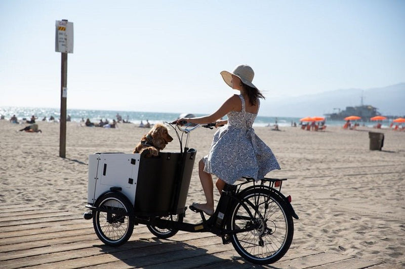 What Is a Cargo Bike? - Ferla Family - Cargo Bikes