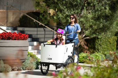 Why the Ferla Family Cargo Bike is the Best Special Needs Tricycle