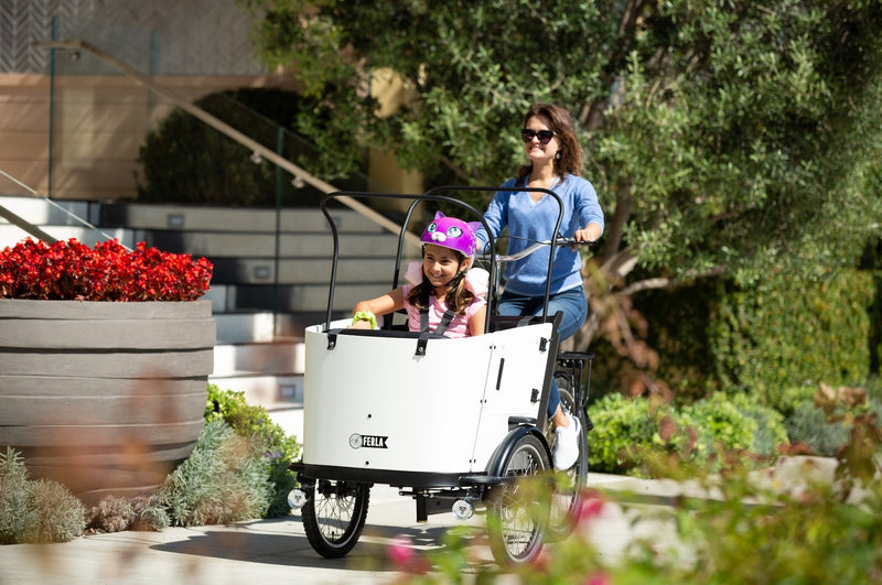 Why the Ferla Family Cargo Bike is the Best Special Needs Tricycle - Ferla Family - Cargo Bikes