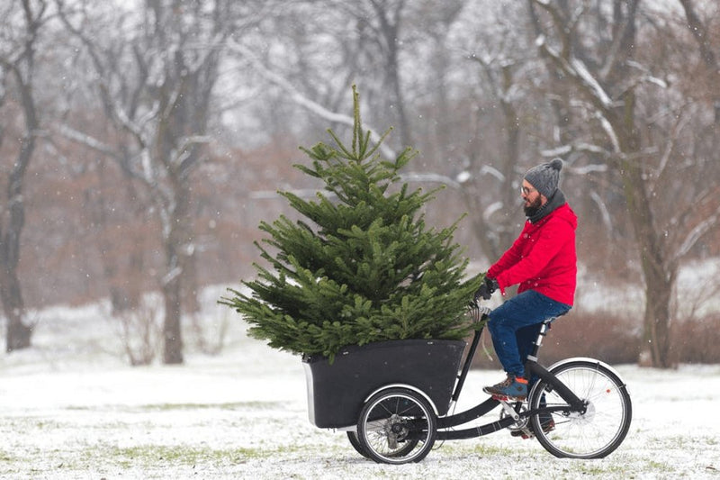 Winter Cargo Bike Riding Tips to Make Your Ride Comfortable - Ferla Family - Cargo Bikes
