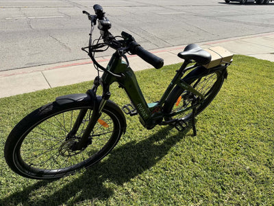 073 Ferla Agile Bike - Hawaiian Green - Ferla Family - Cargo Bikes