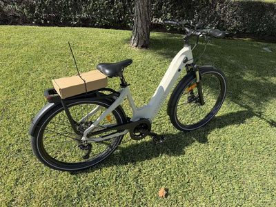 074 Ferla Agile Bike - Coconut Latte - Ferla Family - Cargo Bikes