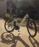 Avant Agile - Commuter Ebike - Ferla Family - Cargo Bikes