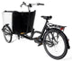Family-friendly Royce Mid-Drive cargo bike, perfect for adventures together