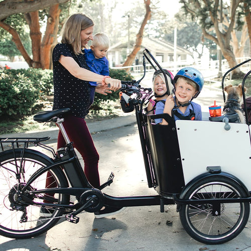 Ferla family rider