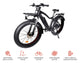 Ferla FX - Series 750 Fat Tire Bike - Ferla Family - Cargo Bikes