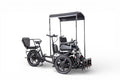 Ferla Wheelchair Bike - Ferla Family - Cargo Bikes