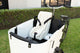 Comfort Toddler Seat for Cargo Bikes (3-Point Harness) - Ferla Family - Cargo Bikes