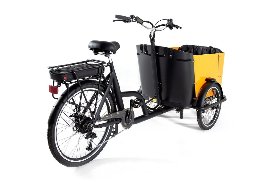 Affordable Cargo Bike For Sale Ferla Family Bike INSPIRE